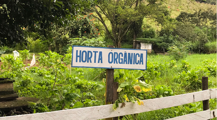 Horta orgânica #PraCegoVer imagem de horta orgânica com placa