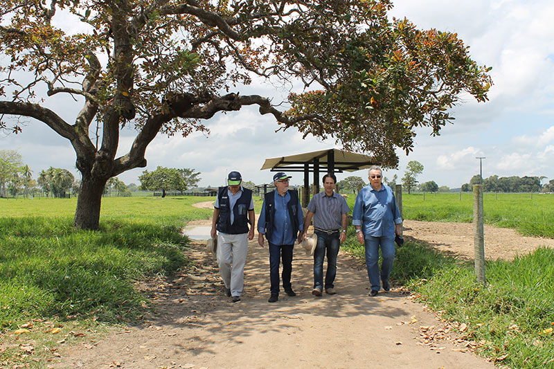 #pracegover Na foto o presidente do IBGE, acompanhado do presidente da CNA, do chefe da Unidade Estadual da Bahia e de um proprietário local, caminha na propriedade rural que está sendo recenseada.