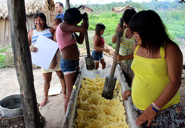 galeria-2 #PraCegoVer As indígenas ficam encarregadas da plantação de mandioca e da produção de farinha na aldeia