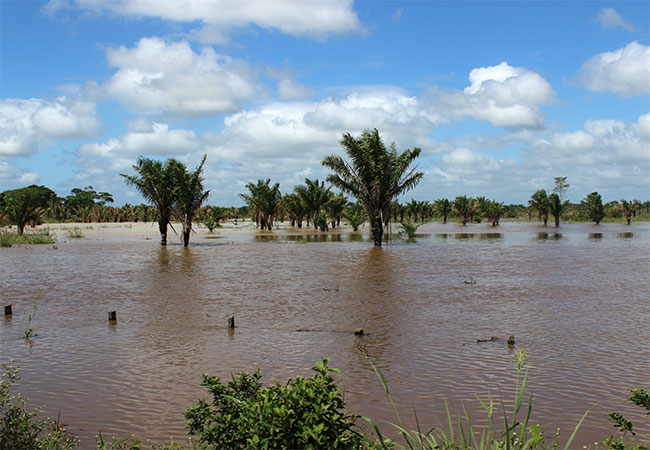 galeria-3 #PraCegoVer O acesso à aldeia indígena Axinguirendá é difícil em razão da existência de terrenos alagados
