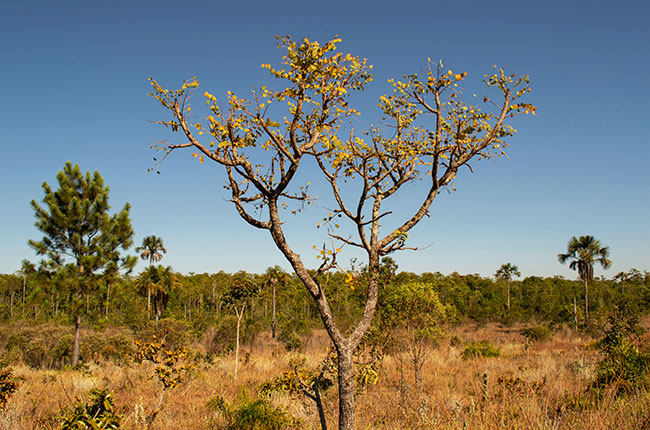 galeria-7
